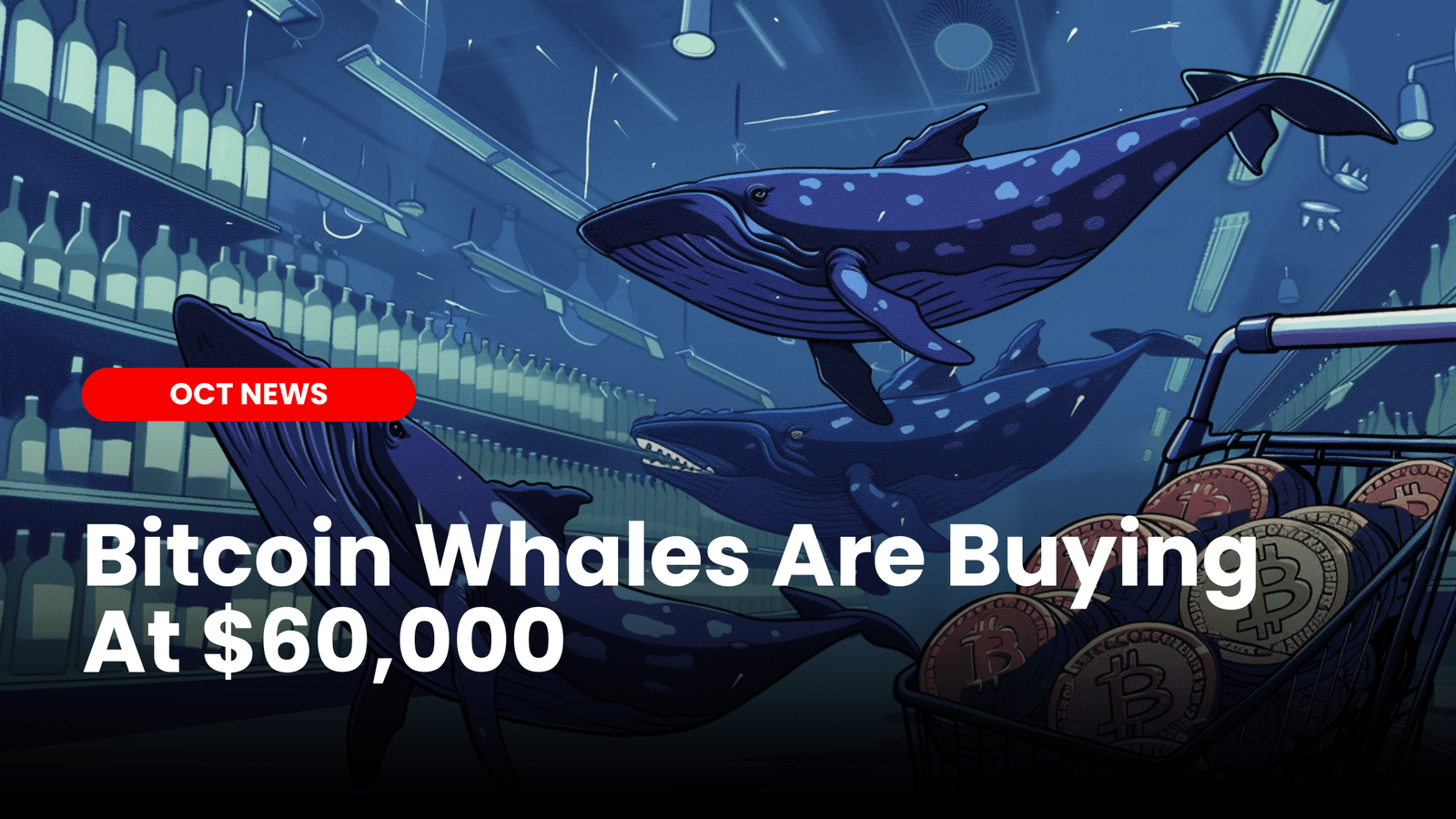 Bitcoin Whales Are Buying The Dips
