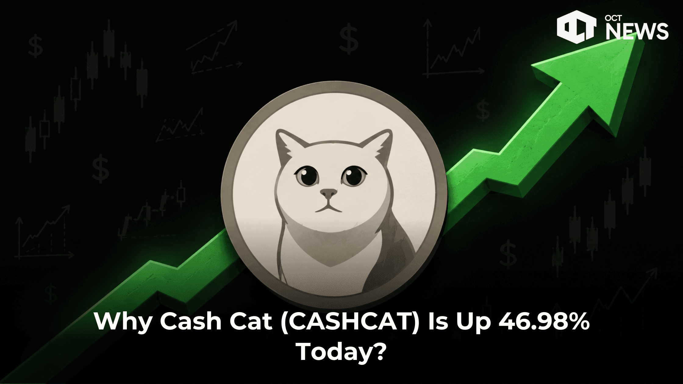 Why Cash Cat (CASHCAT) Is Up 46.98% Today? image