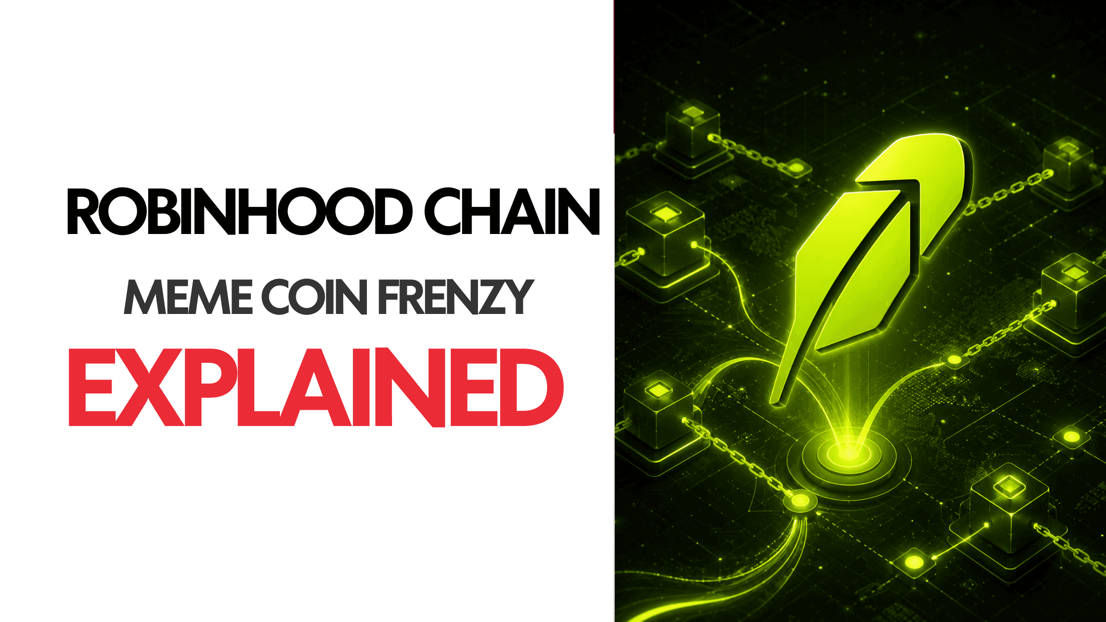 Robinhood Chain Meme Coins: The $156M CASHCAT Story