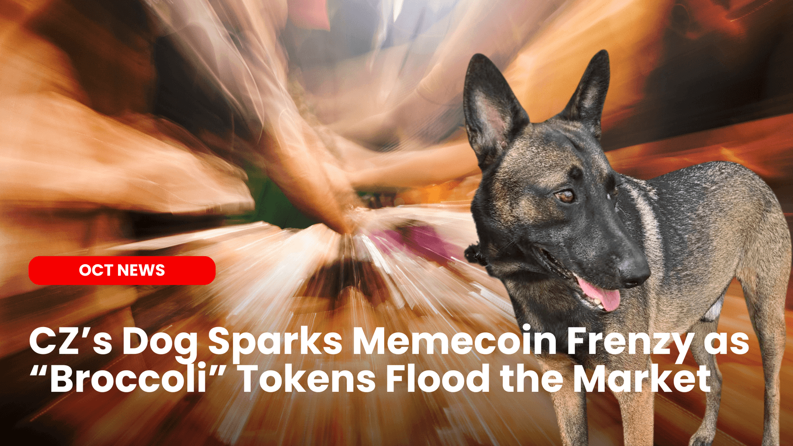 CZ’s Dog Sparks Memecoin Frenzy as “Broccoli” Tokens Flood the Market