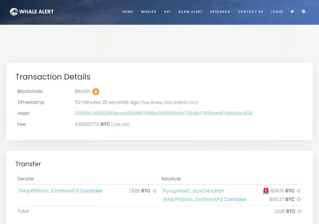 How To Track Whale Activity in Crypto