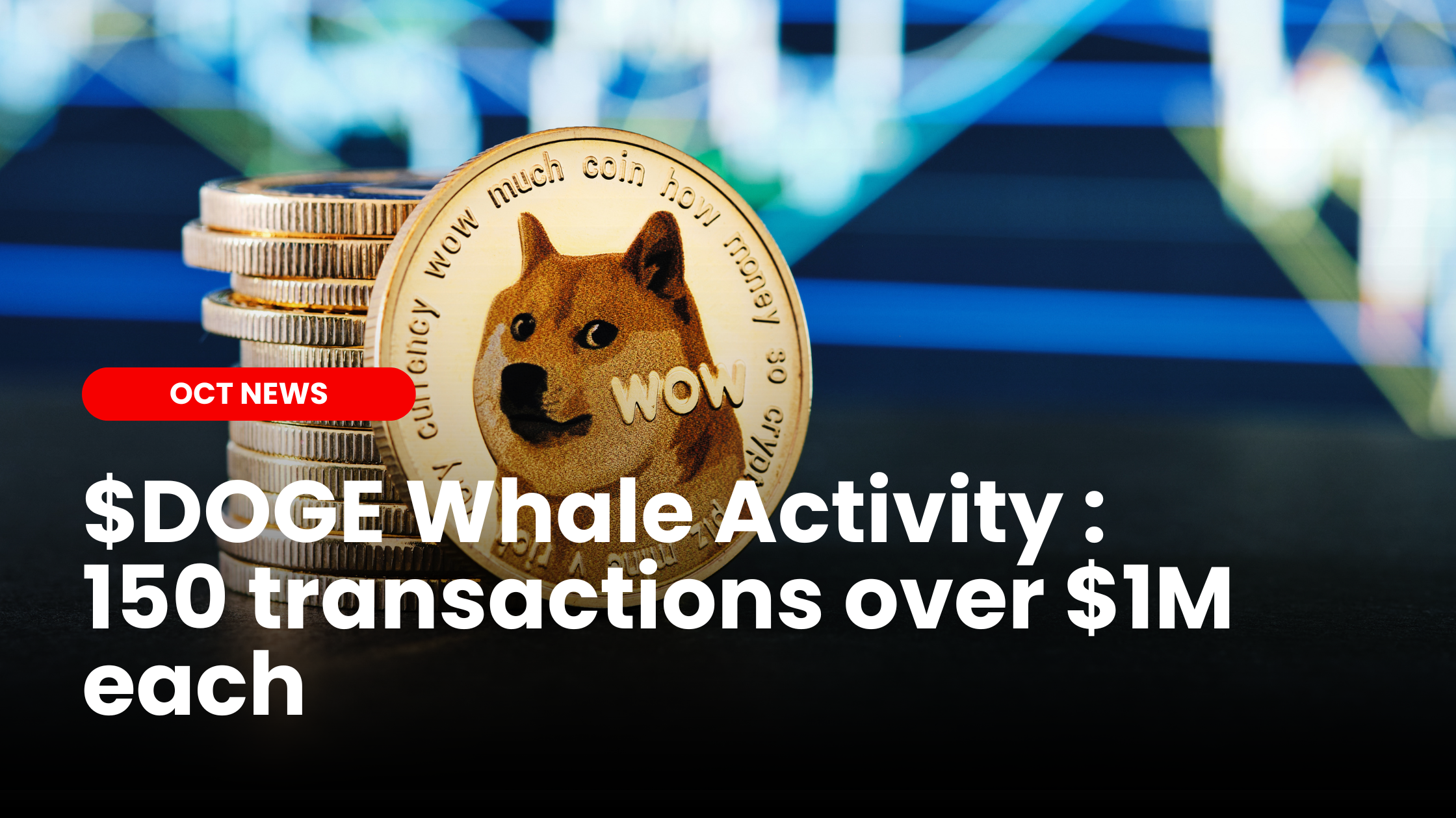 Rise In DOGE Whale Activities | Our Crypto Talk