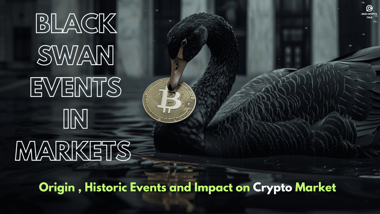 Our Crypto Talk | Black Swan Events In Markets