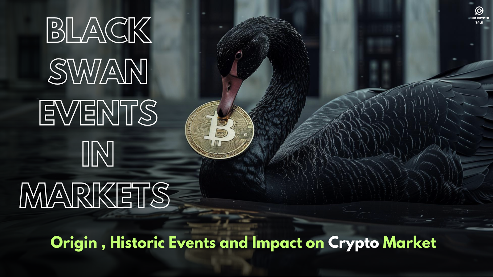 Our Crypto Talk | Black Swan Events In Markets