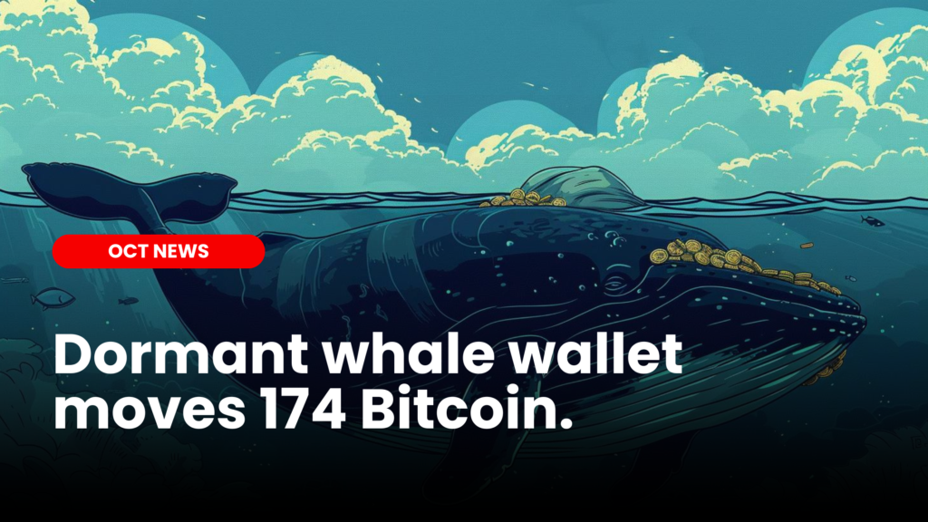 Dormant whale BTC wallet