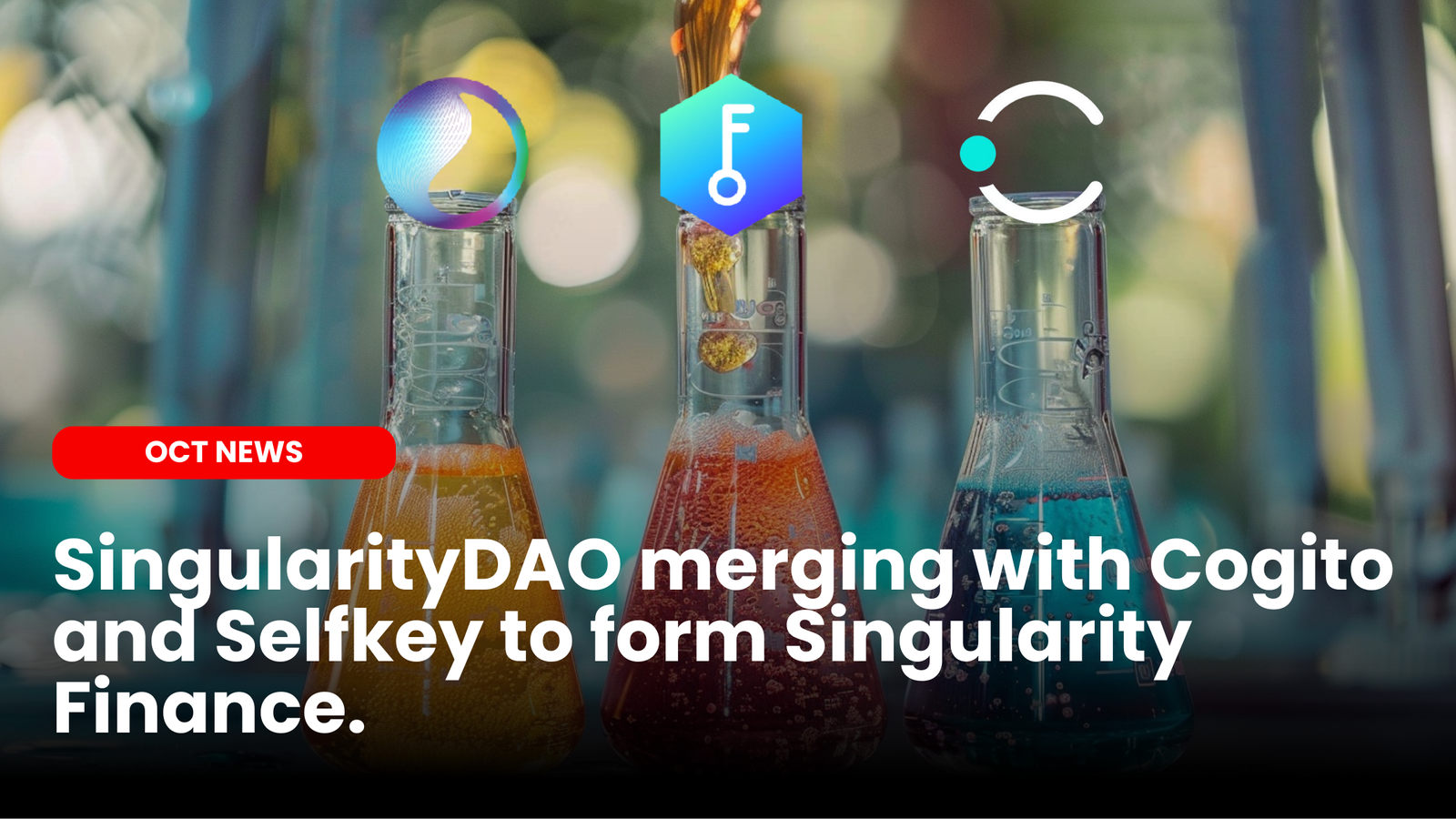 Our Crypto Talk | SingularityDAO merges with Cogito and Selfkey to form  Singularity Finance