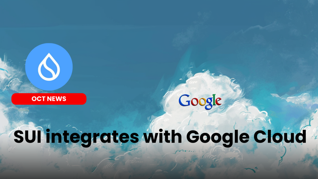 Sui Google Cloud