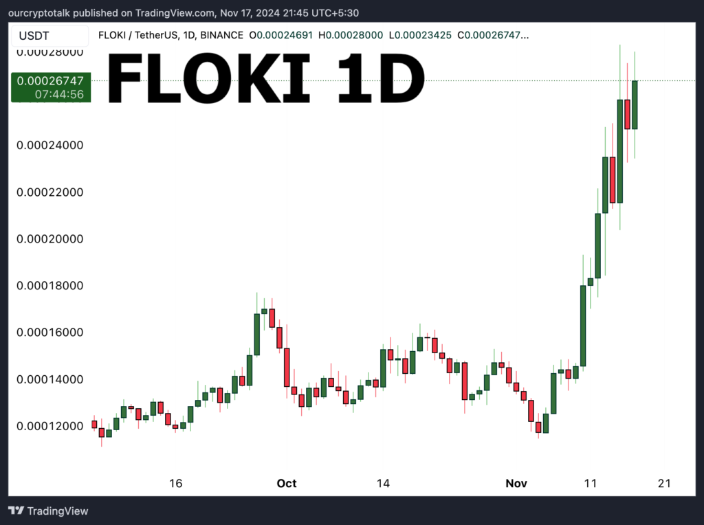 Floki Price Daily Chart