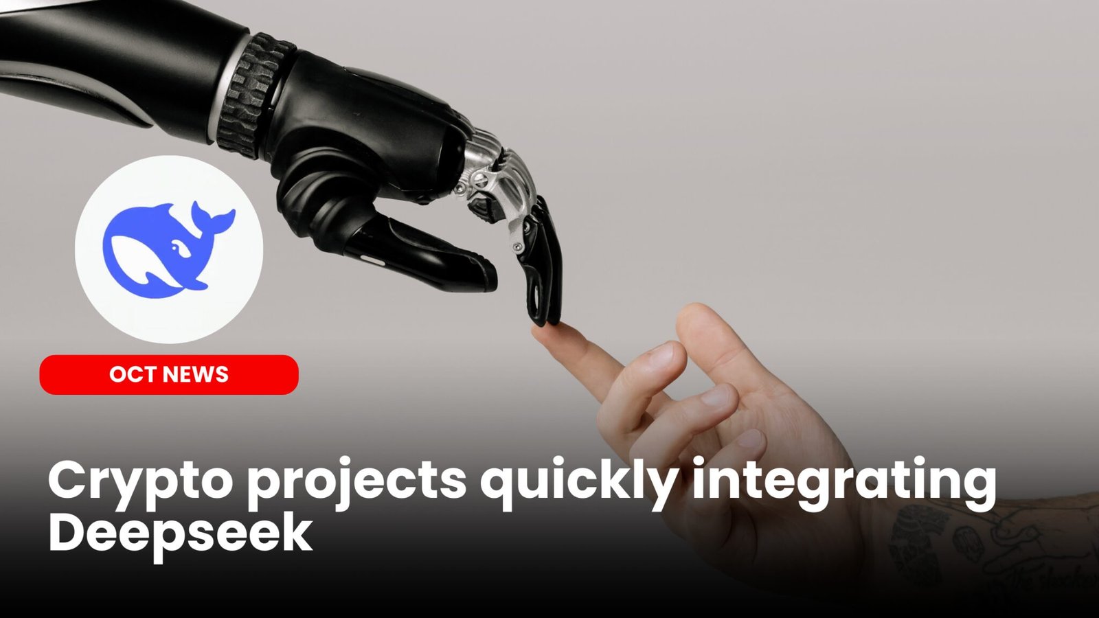 Our Crypto Talk | Crypto projects quickly integrating Deepseek