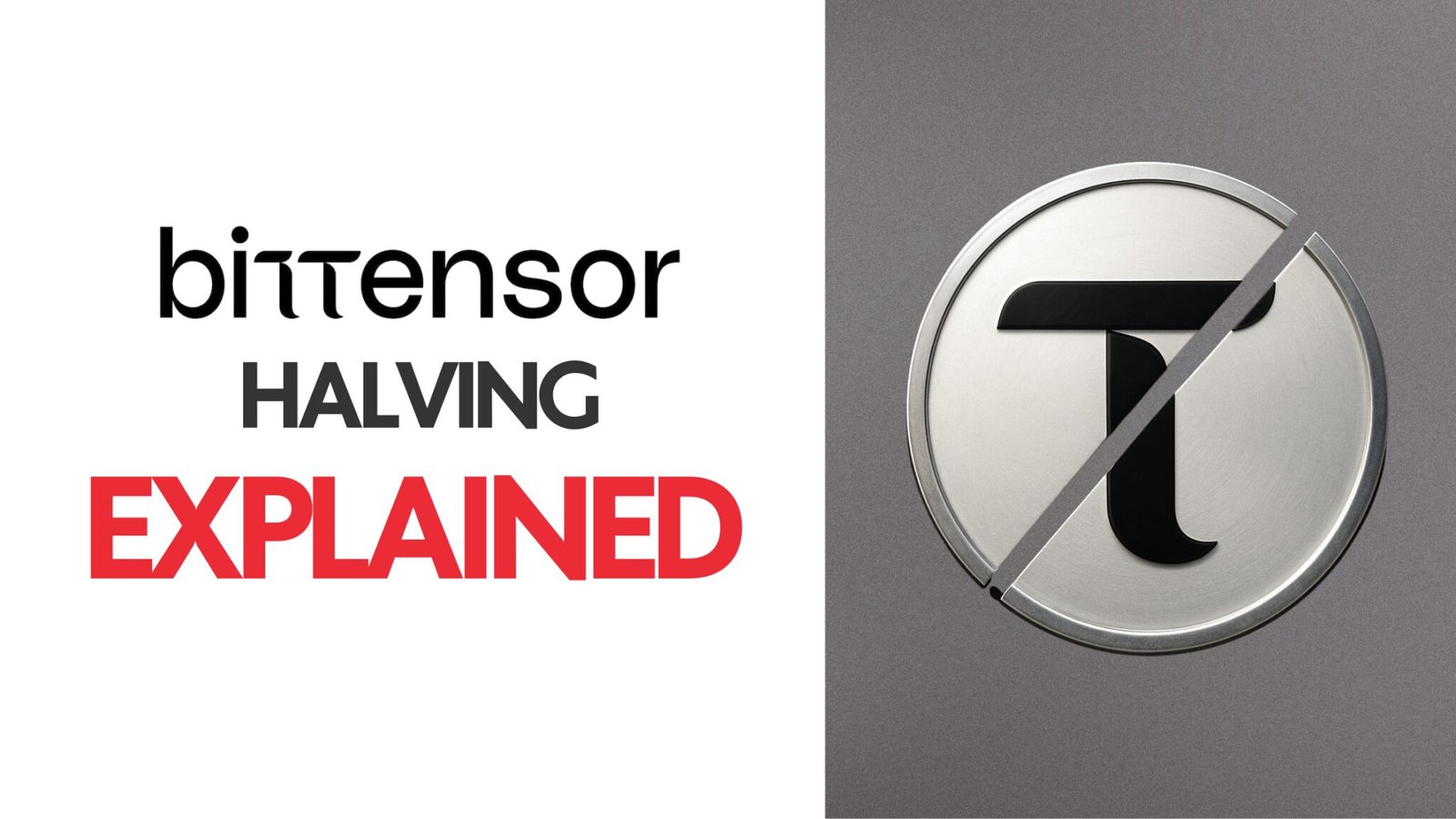 Our Crypto Talk | The Bittensor ($TAO) Halving Explained