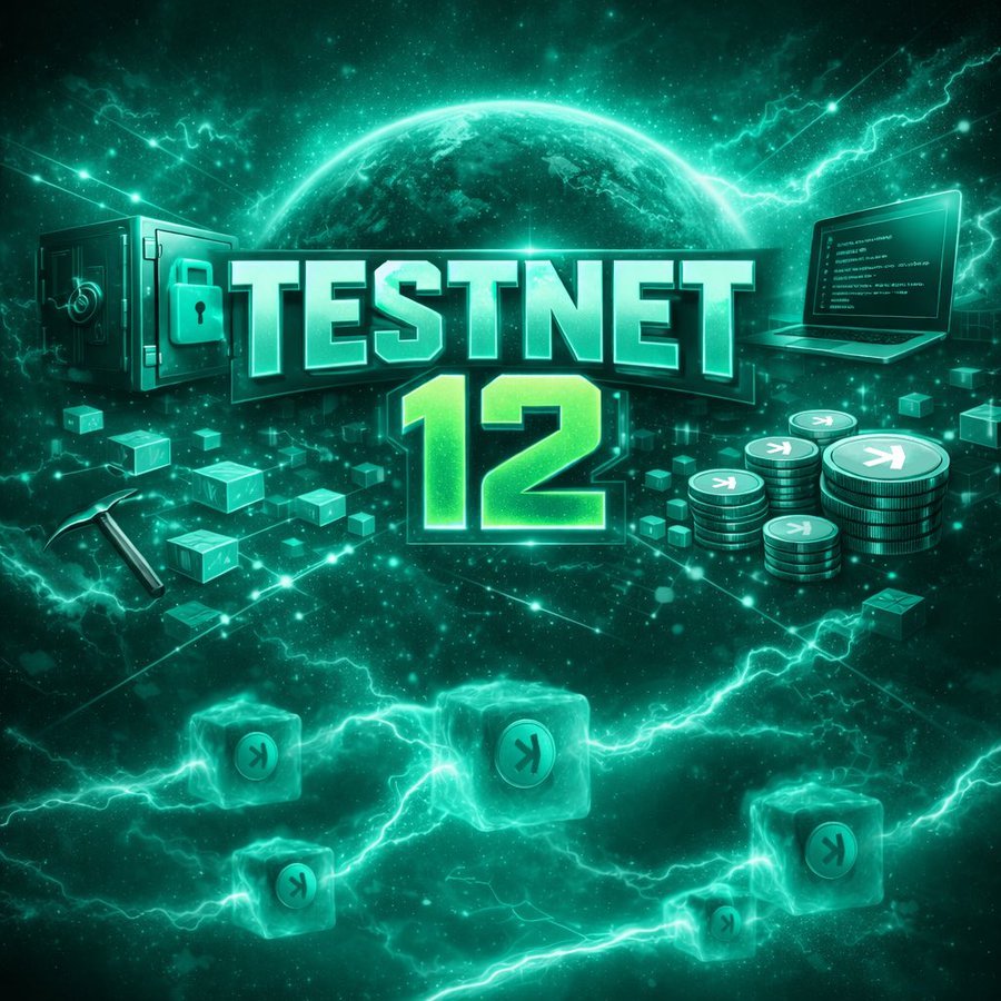 Kaspa Testnet 12 Covenants