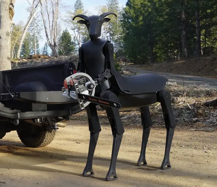 The robotics boom