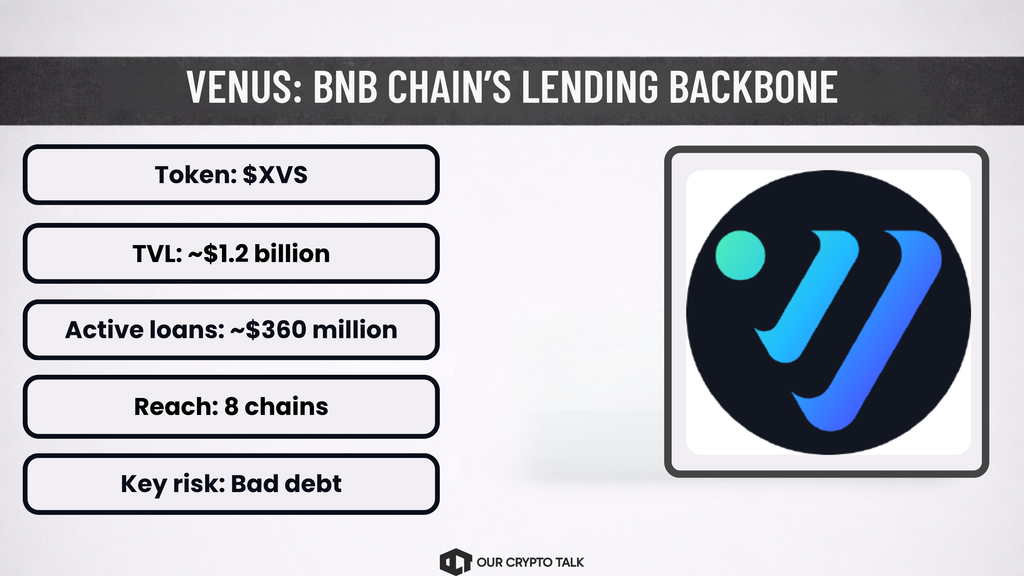 Venus Protocol BNB Ecosystem